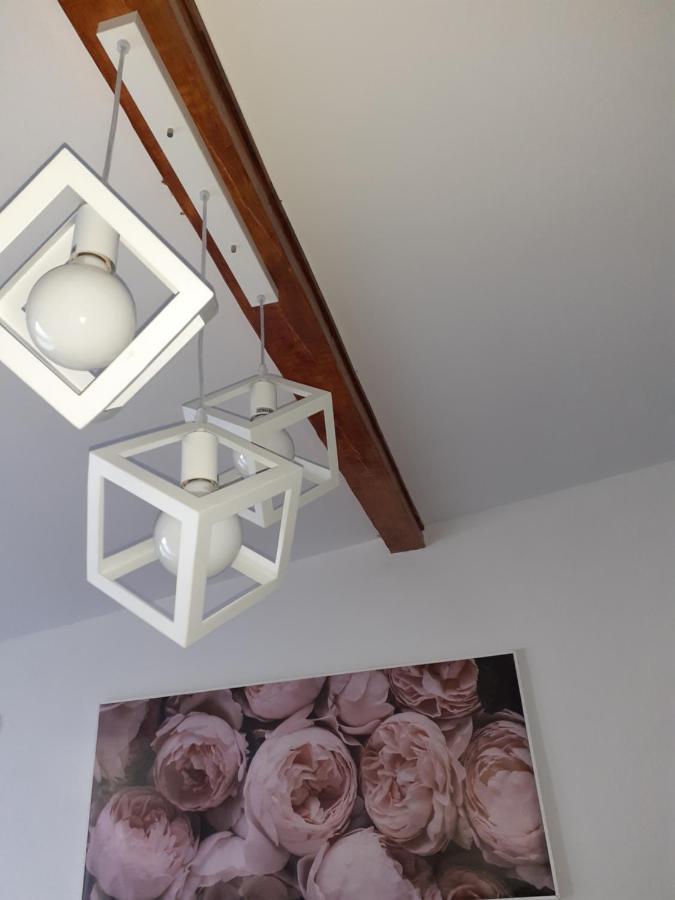 Flora Novi Sad Appartement Buitenkant foto